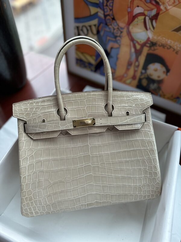 Birkin 30 in Craie Shiny Niloticus Crocodile GHW