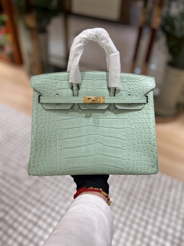 Birkin 25 in Menthe Matte Alligator