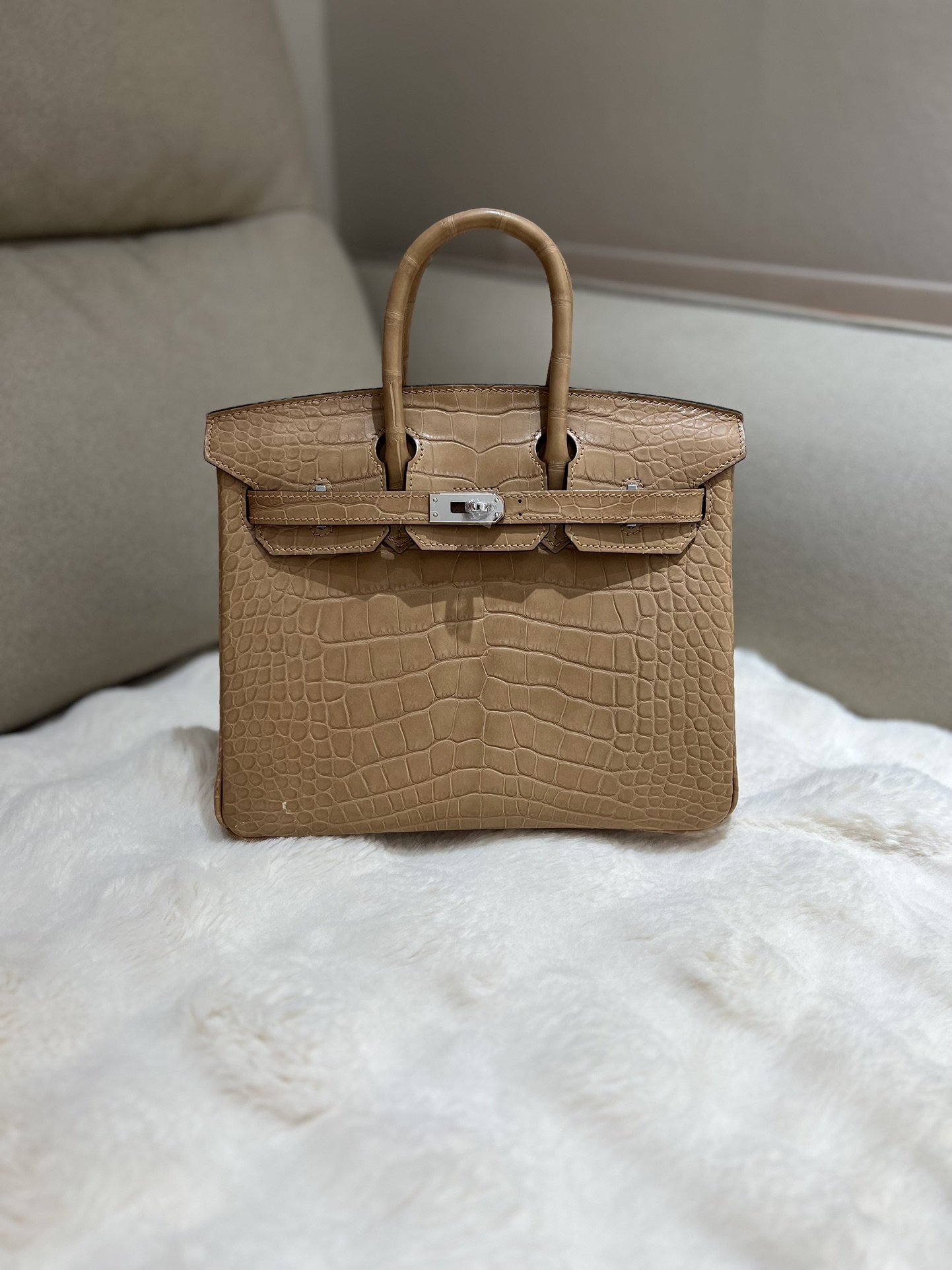 1000016307.jpg Birkin 25 in Biscuit Matte Alligator PHW - Image 1