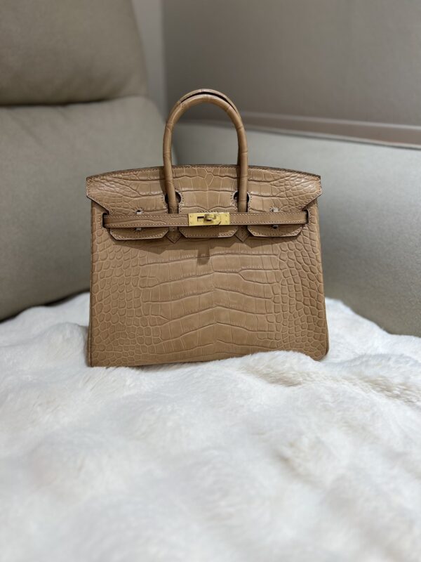 Birkin 25 in Biscuit Matte Alligator GHW