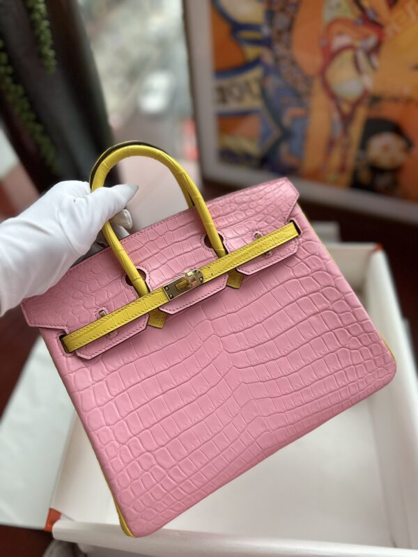 Birkin 25 in Pink & Jaune de Naples Matte Niloticus Crocodile