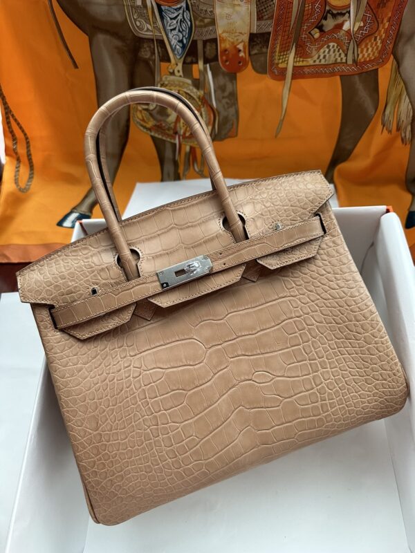 Birkin 30 in Chai Matte Alligator