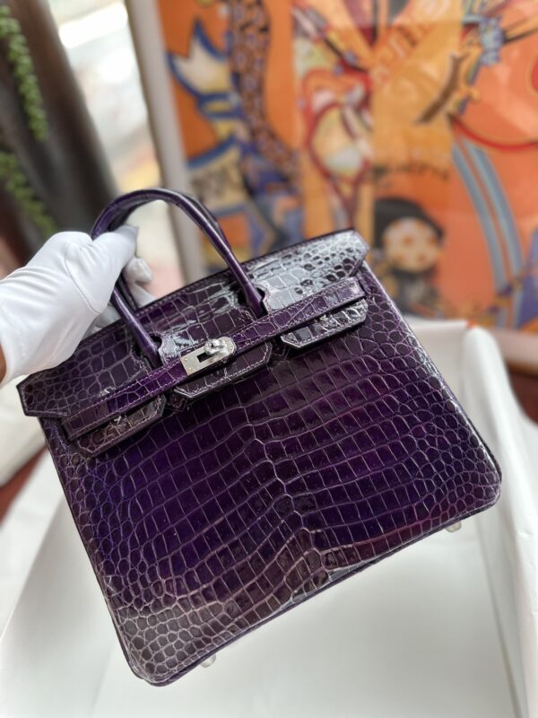 Birkin 25 in Cassis Shiny Porosus Crocodile