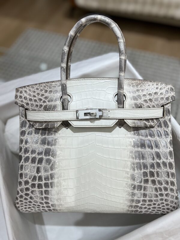 Birkin 30 in Niloticus Crocodile Himalaya