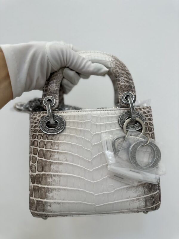 Lady Dior Mini Bag in Primary  Crocodile