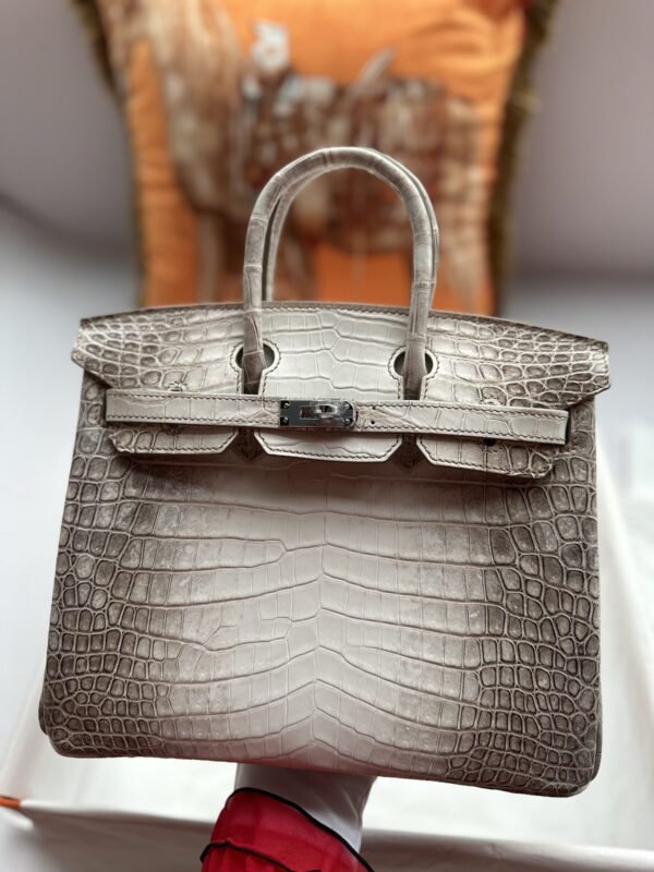 Birkin 25 in Niloticus Crocodile Himalaya