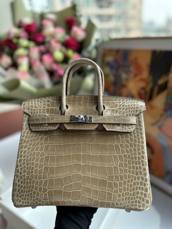 Birkin 25 Bags in Shiny Alligator