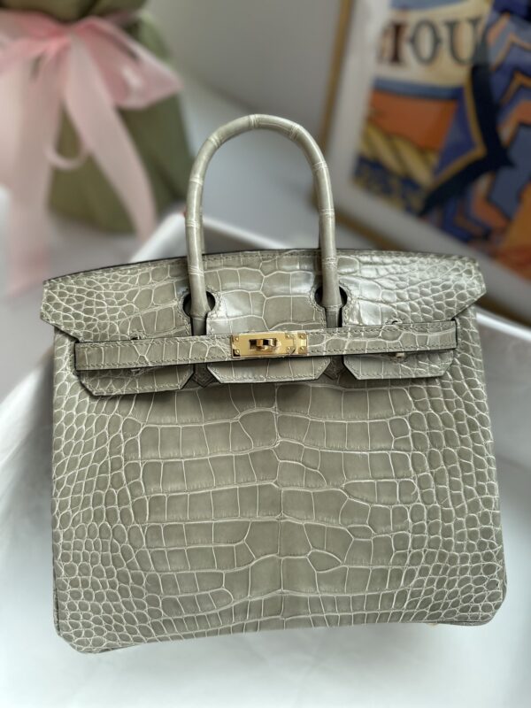 Birkin 25 in Gris Tourterelle Shiny Alligator