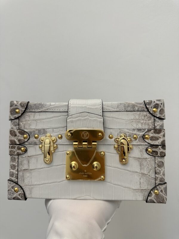 Louis Vuitton Hard Case in Crocodile