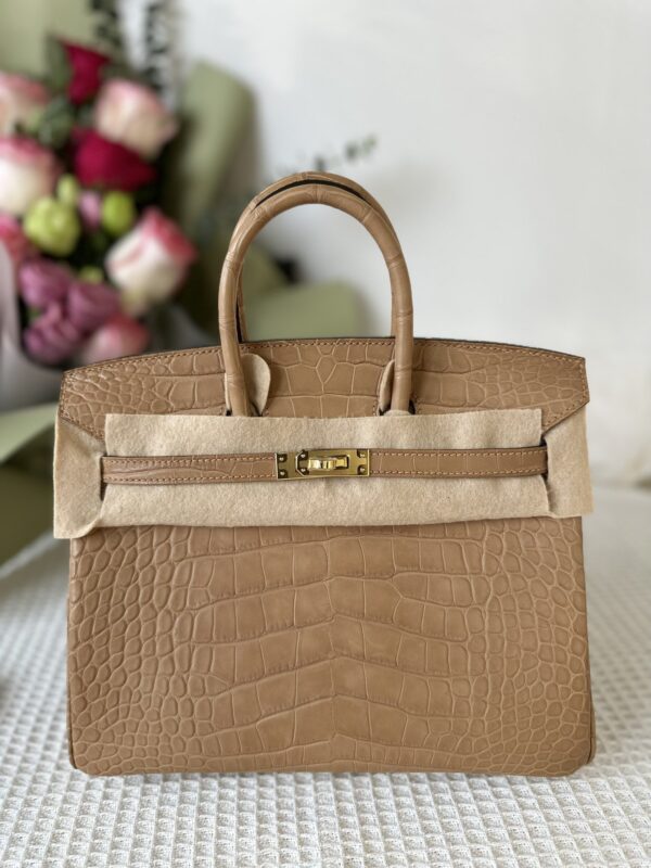 Birkin 25 in Chai Matte Alligator