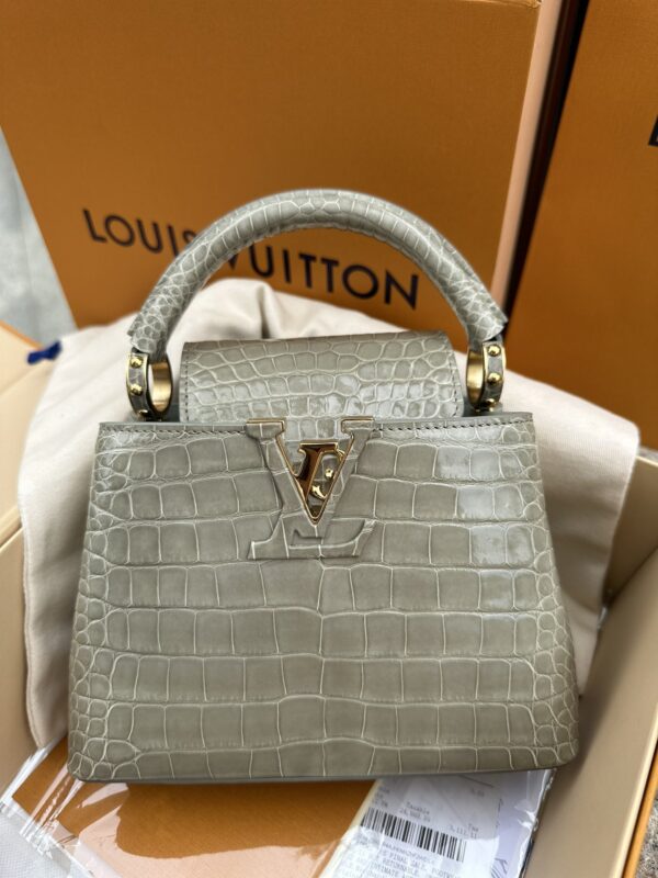 Louis Vuitton Capucines in Grey Crocodile