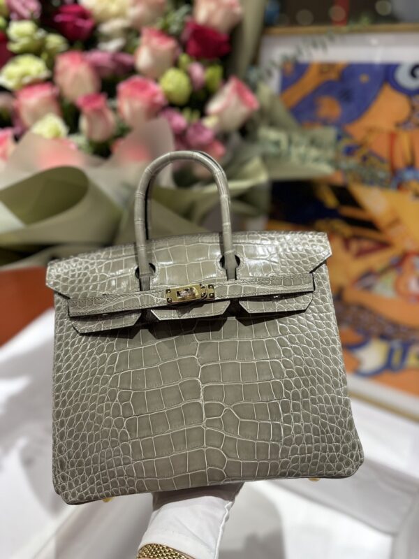 Birkin 25 in Gris Tourterelle Shiny Alligator GHW
