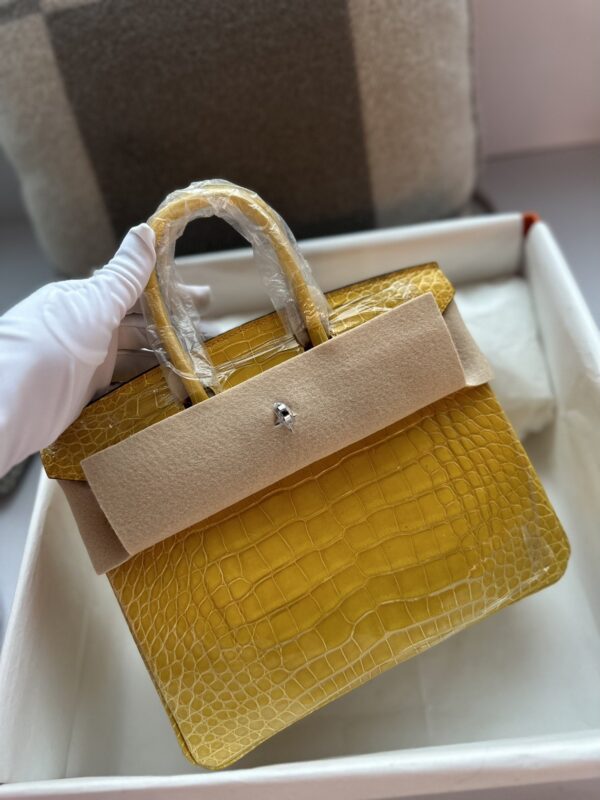 Birkin 25 in Jaune Ambre Shiny Alligator