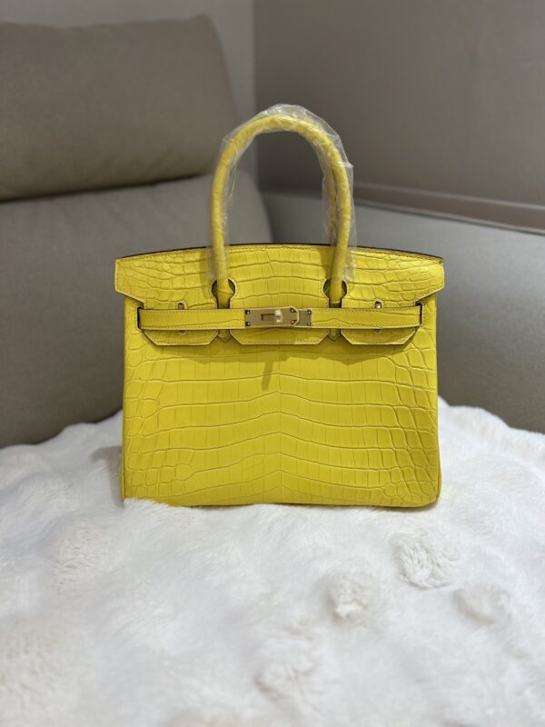 Birkin 30 in Lime Niloticus Crocodile