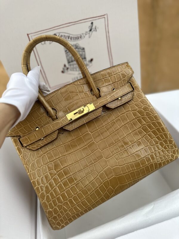 Birkin 30 in Apricot Shiny Niloticus Crocodile