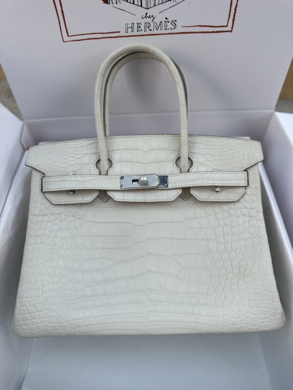 Birkin 30 in Beton Matte Alligator