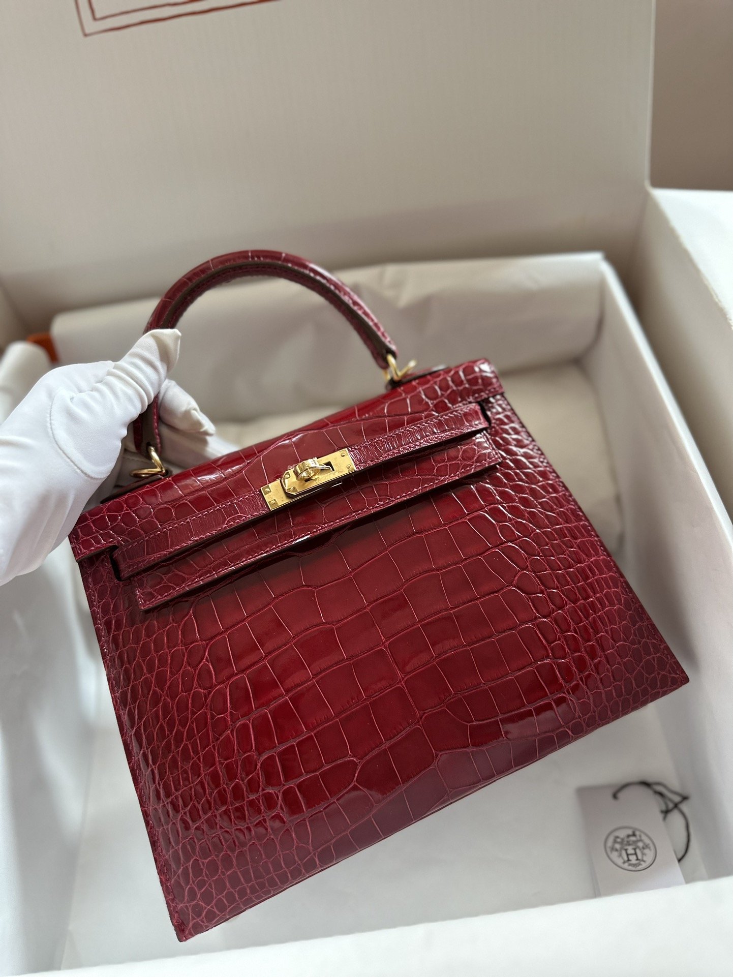 10717.jpg Kelly 25 in Shiny Alligator - Image 1