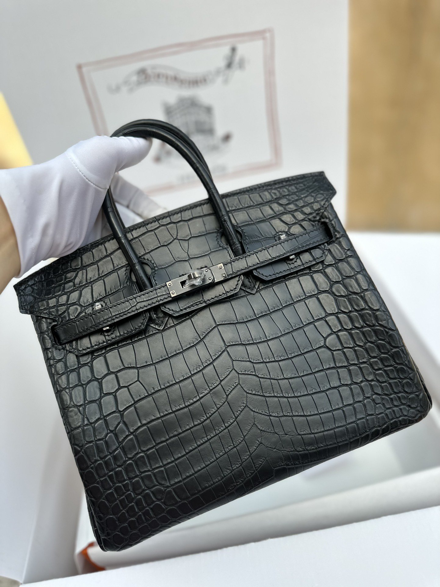 10725.jpg Birkin 25 in Noir Matte Niloticus Crocodile - Image 1