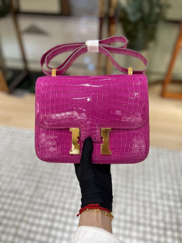 Constance 18 in Rose Scheherazade Shiny Crocodile