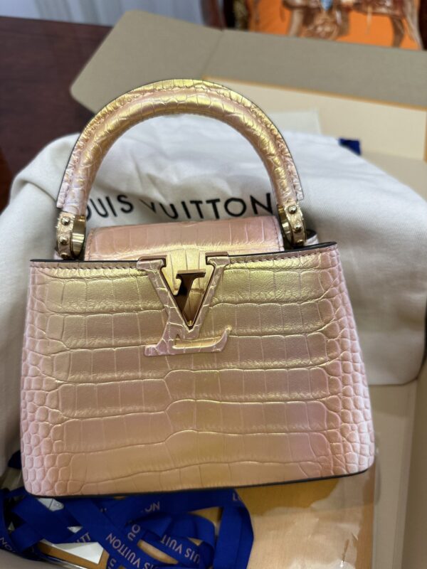 Louis Vuitton Alligator