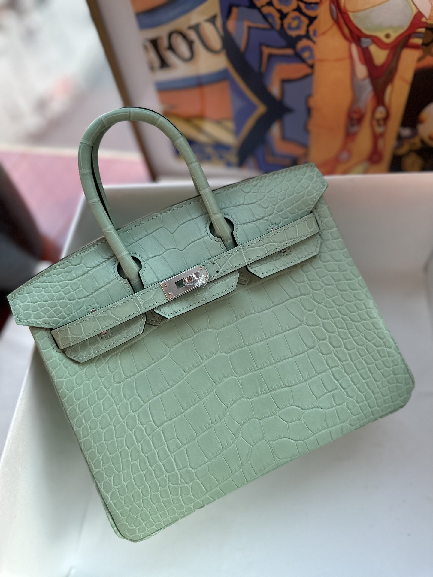 10963.jpg Birkin 25 Matte Alligator - Image 1