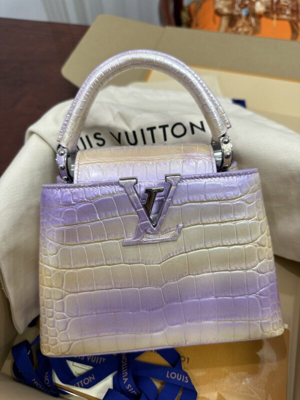 Louis Vuitton Capucines Bag in Symphony Alligator