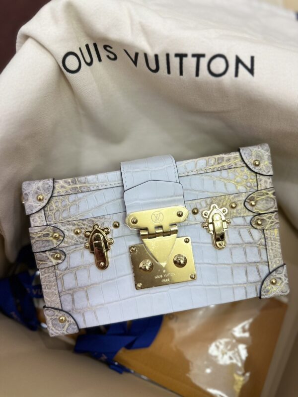 Louis Vuitton Hard Case