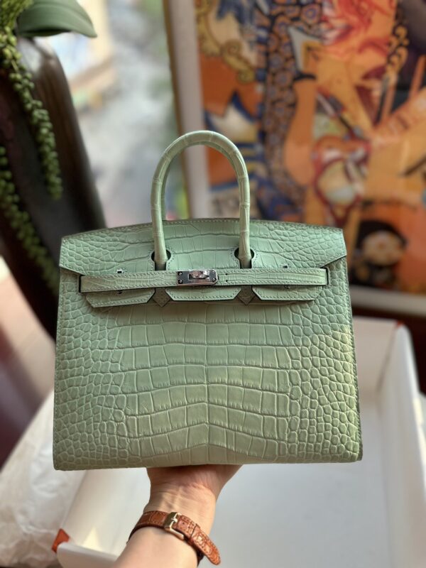 Birkin 25 in Menthe Matte Alligator