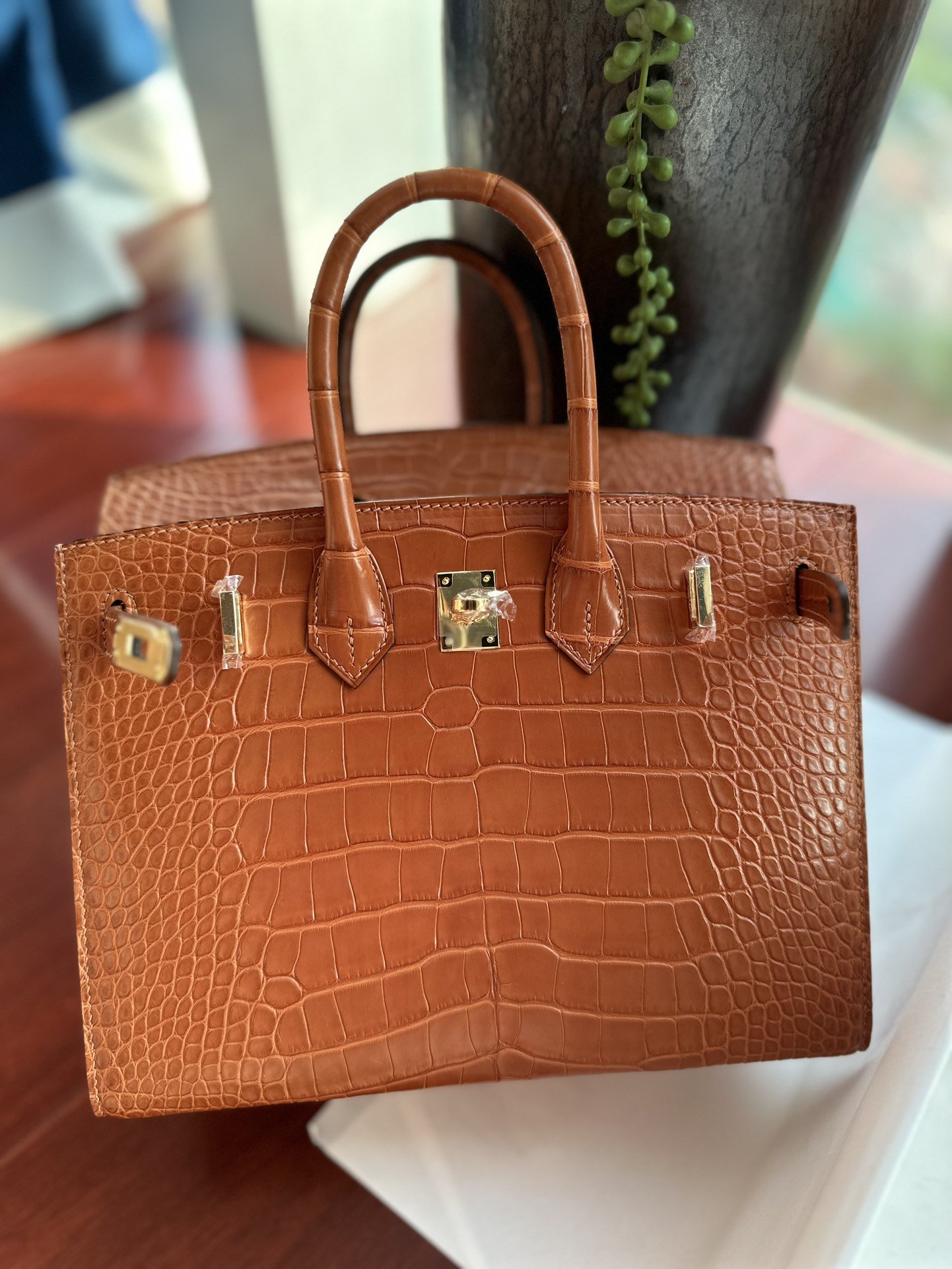 11019.jpg Birkin 25 in Golden Brown Matte Alligator - Image 1