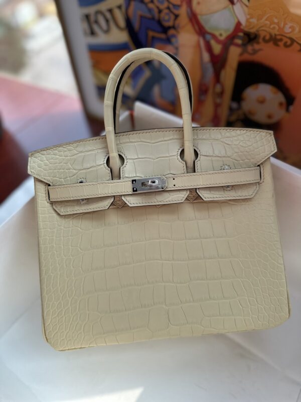 Birkin 25 in Vanille Matte Alligator PHW