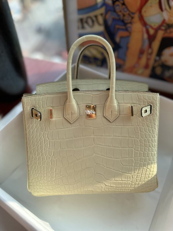 Birkin 25 in Vanille Matte Alligator GHW