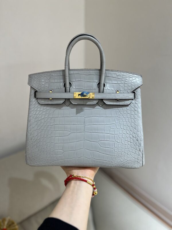 Birkin 25 in Matte Alligator