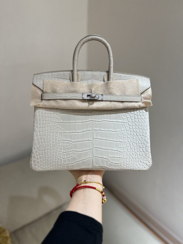 Birkin 25 in Matte Alligator