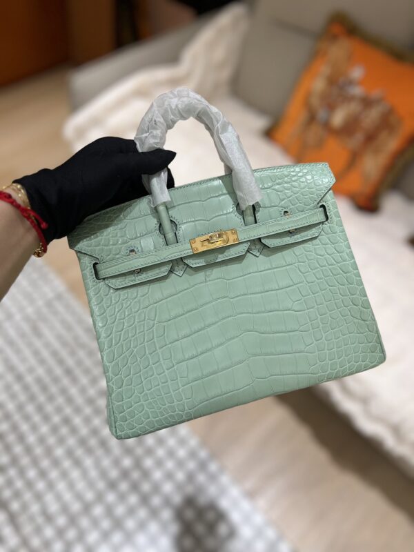 Birkin 25 in Menthe Matte Alligator GHW
