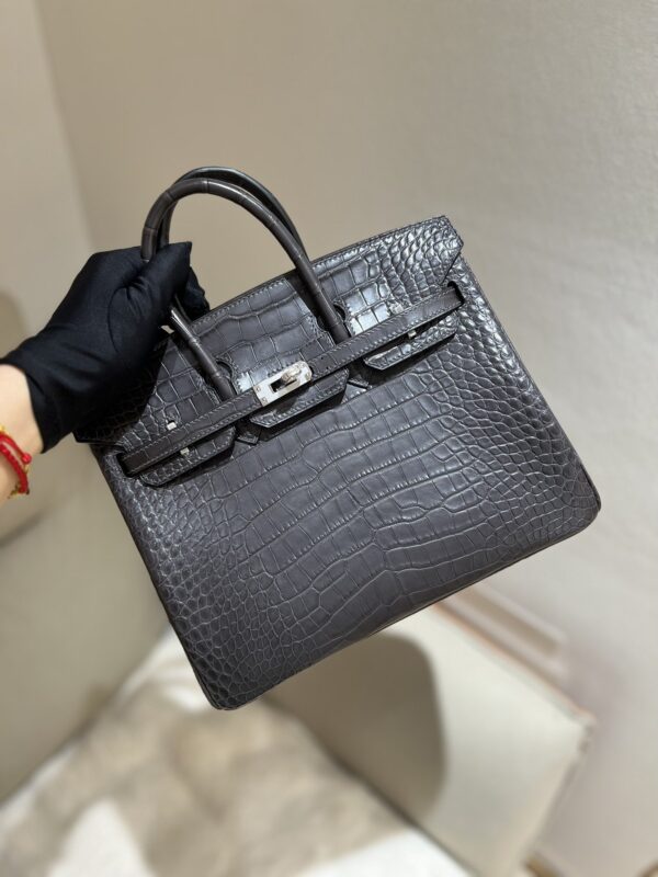Birkin 25 in Graphite Matte Alligator