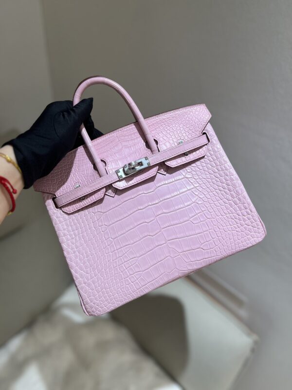 Birkin 25 in Rose Sakura Matte Alligator