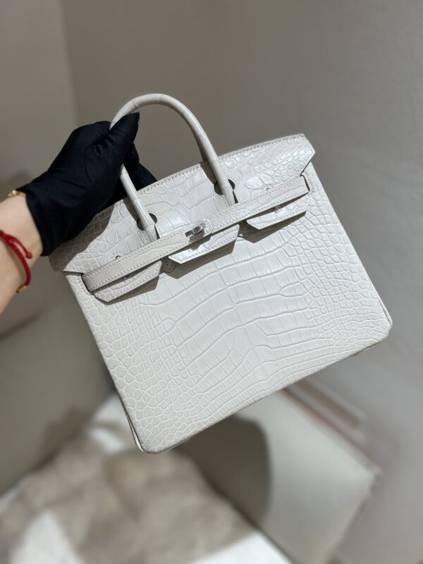 Birkin 25 in Beton Matte Alligator