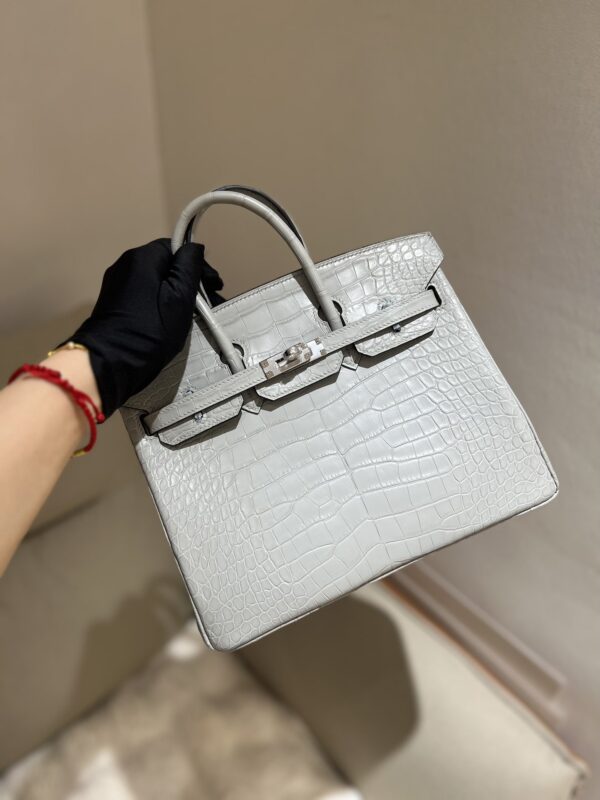 Birkin 25 in Gris Perle Matte Alligator