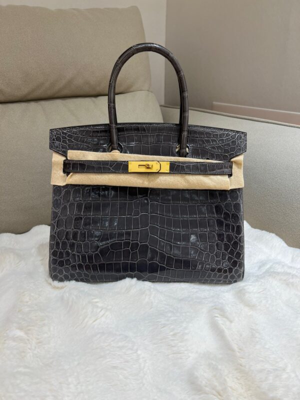 Birkin 30 in Graphite Shiny Nile Crocodile