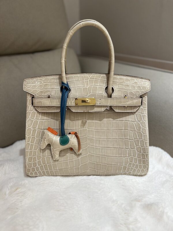 Birkin 30 in Craie Shiny Nile Crocodile