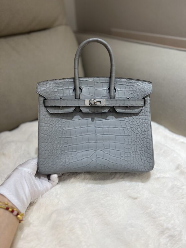 Birkin 30 in Gris Perle American Сrocodile