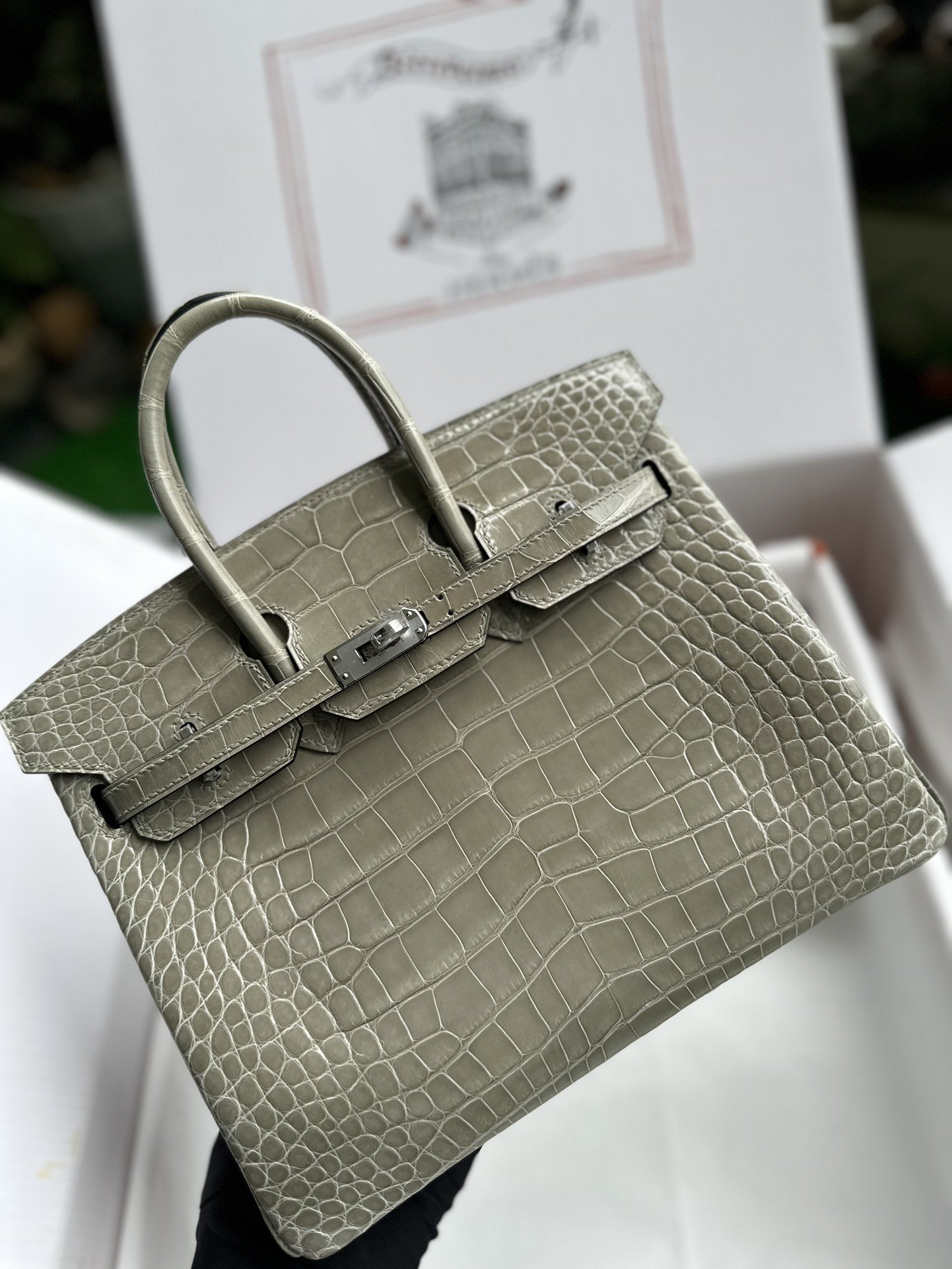 12320.jpg Birkin 25 Shiny Alligator Gris Touterelle - Image 1