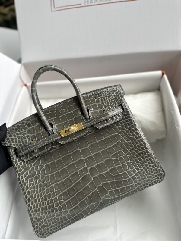 Birkin 25 Shiny Alligator Gris Touterelle