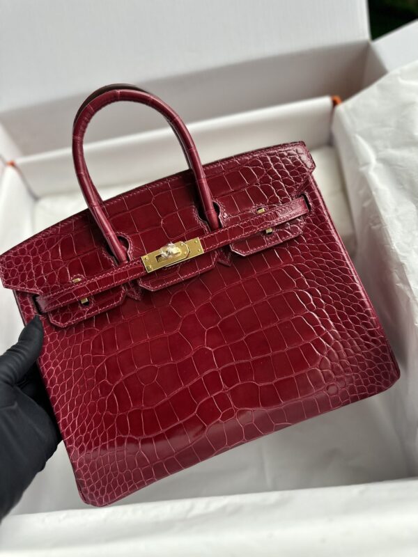 Birkin 25 Shiny Alligator