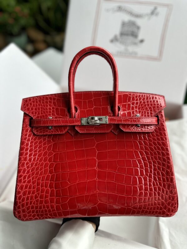 Birkin 25 Shiny Alligator Braise Red