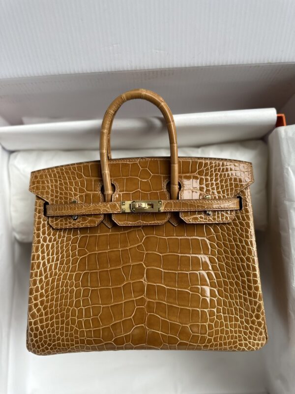Birkin 25 Shiny Alligator Ficelle