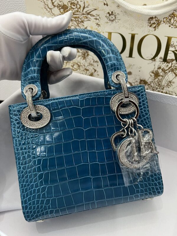 Dior Shiny Alligator