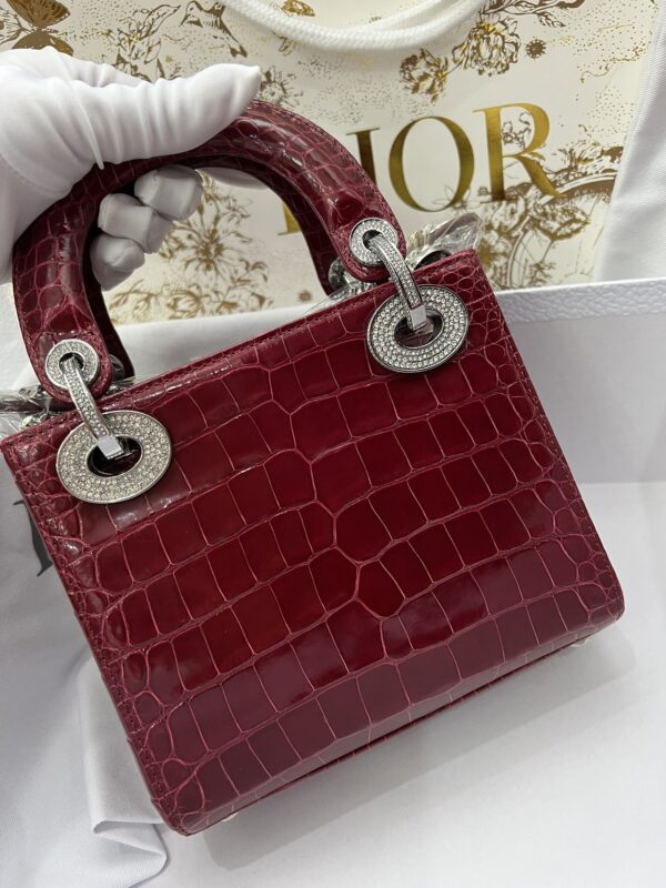 Dior Shiny Alligator
