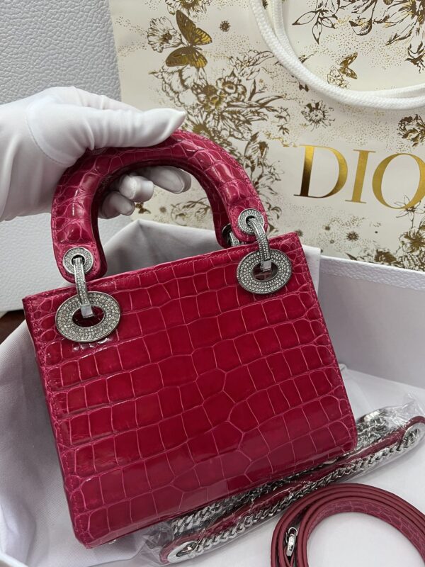 Dior Shiny Alligator