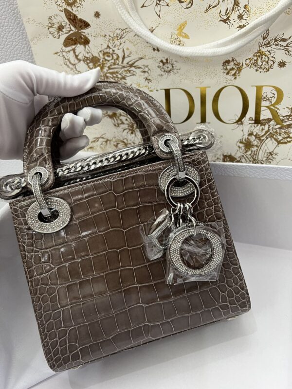 Dior Shiny Alligator